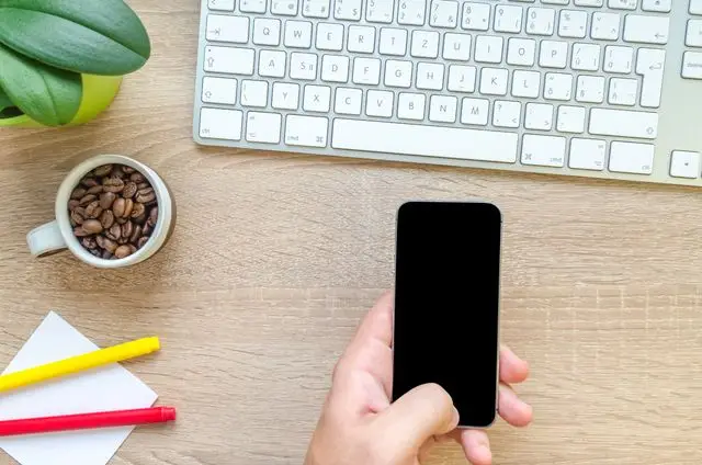 Overhead view of a hand holding smartphone near keyboard, mug of coffee beans, and plant on wooden desk.